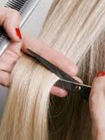 Rene-Expertsalon-Haar